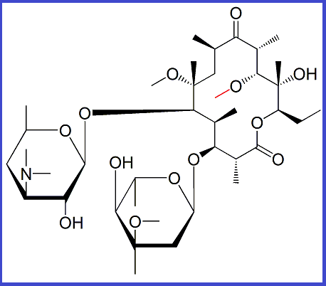 CLARITHROMYCIN EP IMPURITY E (USP) | 6,11-DI-O-METHYLERYTHROMYCIN A